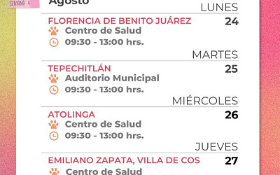 las mascotas