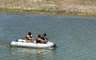 WhatsApp Image 2026 04 08 at 1.46.42 PM 1