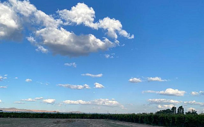 WhatsApp Image 2025 04 12 at 7.30.30 PM