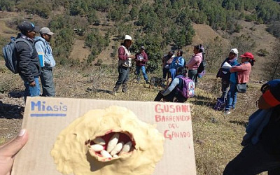 En marcha la campaña nacional
