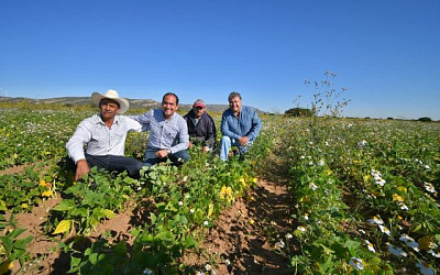 productores agricolas