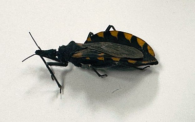 WhatsApp Image 2026 04 14 at 12.38.05 PM