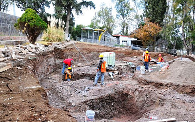 WhatsApp Image 2026 01 14 at 3.57.39 PM