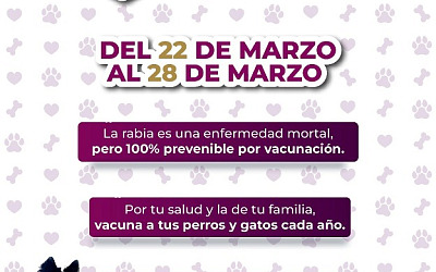 WhatsApp Image 2026 03 19 at 2.30.36 PM