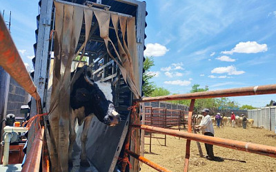 670703733 1384211090398972 5236410143742219196 n