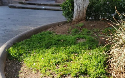 WhatsApp Image 2026 01 09 at 5.39.12 PM