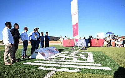 pasto sintetico