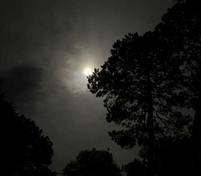 WhatsApp Image 2025 09 06 at 9.03.15 PM copy