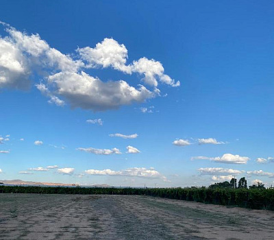 WhatsApp Image 2025 04 12 at 7.30.30 PM